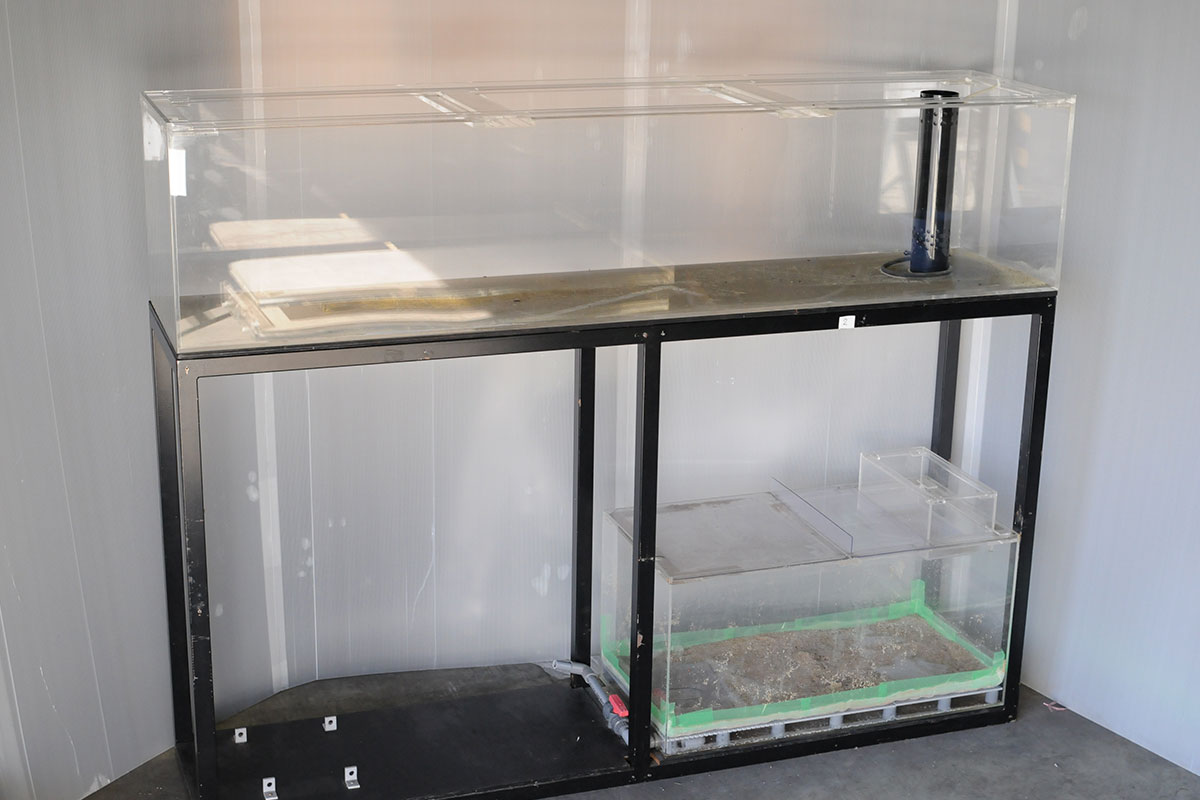 アクリル水槽 2000 | 株式会社yasuda