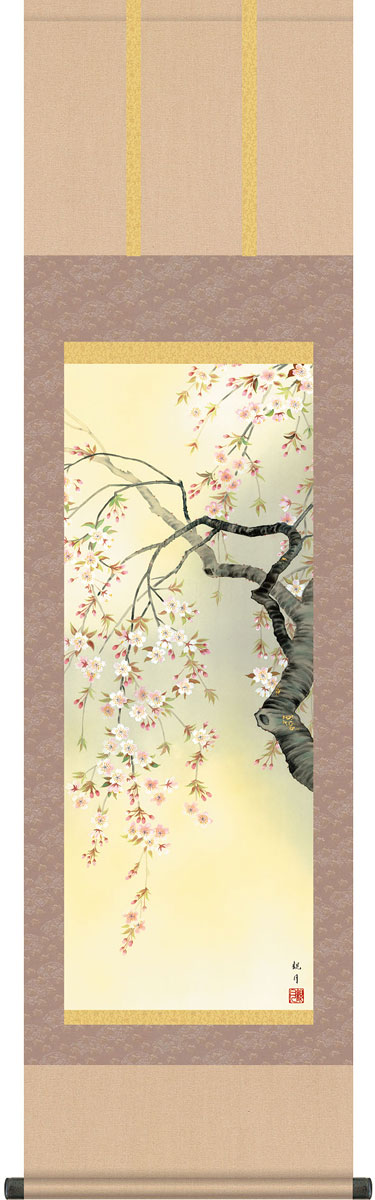 花鳥の掛け軸 森山観月作 四季趣彩 桜花爛漫