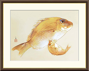 真作】掛軸竹内栖鳳いわし静かな水中の詩情二重箱入（極箱）S178