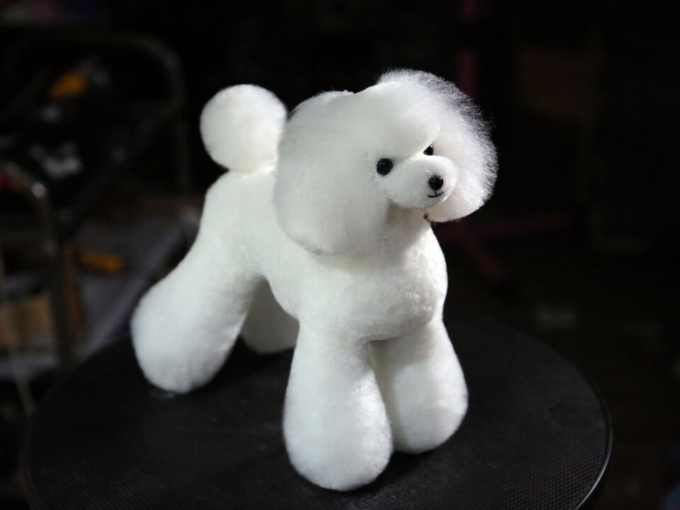 愛知県のペット用品・水生生物用品メーカー株式会社貝沼産業:わん