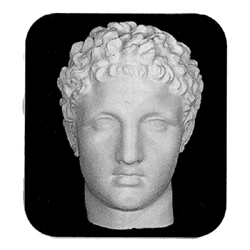 ヘルメス像 石膏胸像 デッサン像