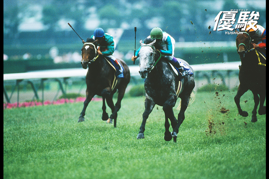 メジロマックイーン 武豊 天皇賞春 競走馬 写真パネル 額縁入り Amazon