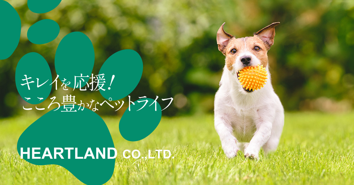 ゾイック カシミヤタッチシリーズ新発売のお知らせ | ZOIC（ゾイック