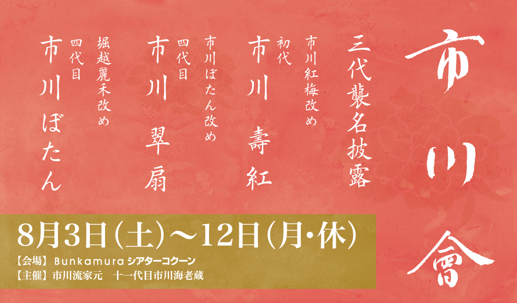 十一代 市川海老蔵 襲名記念 銀製品 2025年最新】Yahoo!オークション