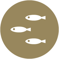 国産ドッグフード ZEN プレミアムドッグ グレインフリー しらす