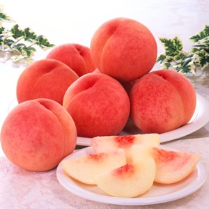 山梨の桃1.8kg 7月中旬発送開始 | 全農食品オンラインショップ