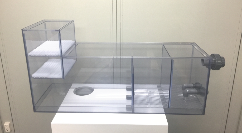 ☆値下げ☆オーバーフロー水槽 リフジウム アクリル濾過層☆おまけ付き