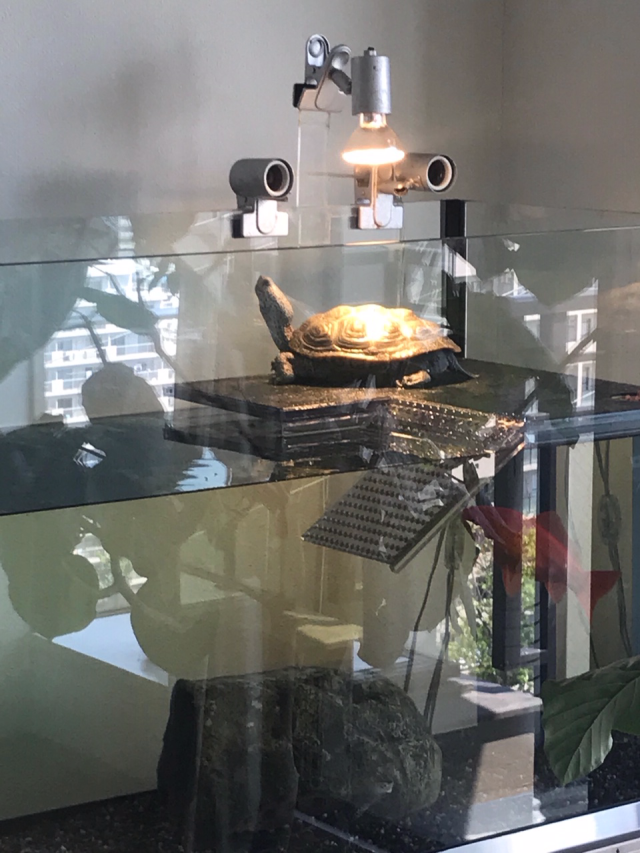 大阪府K・Kさま オーバーフローセット（900×450×600）｜すいそうやさん