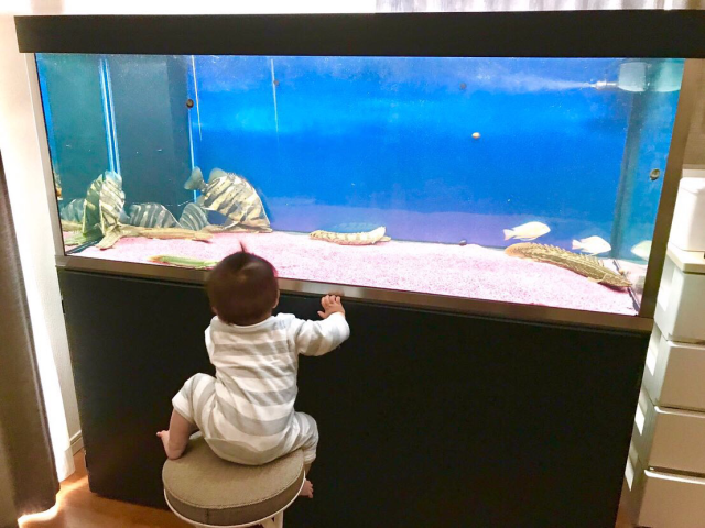 埼玉県T・Zさま オーバーフローセット（1500×600×600）｜すいそうやさん