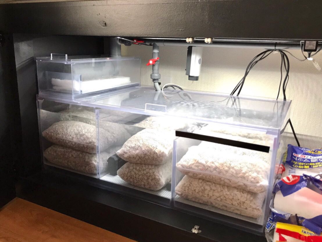 1500オーバーフロー水槽