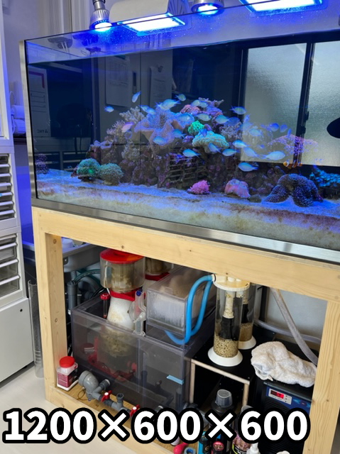 山梨県W・Hさま オーバーフロー水槽セット（1200×600×600）(1200×400