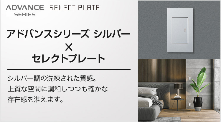 ①シルバーカップ&シルバープレート セレクトプレート | アドバンス