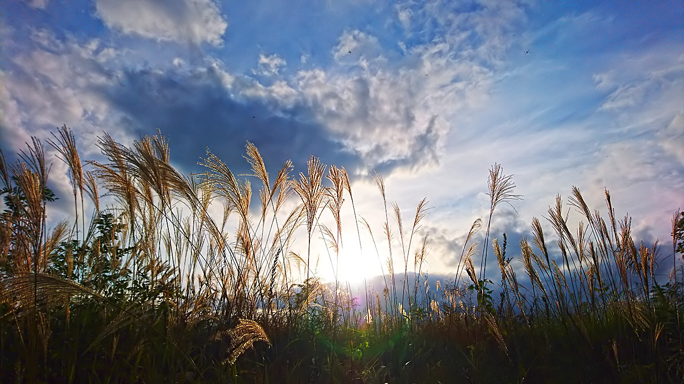安曇野風景 ススキの候