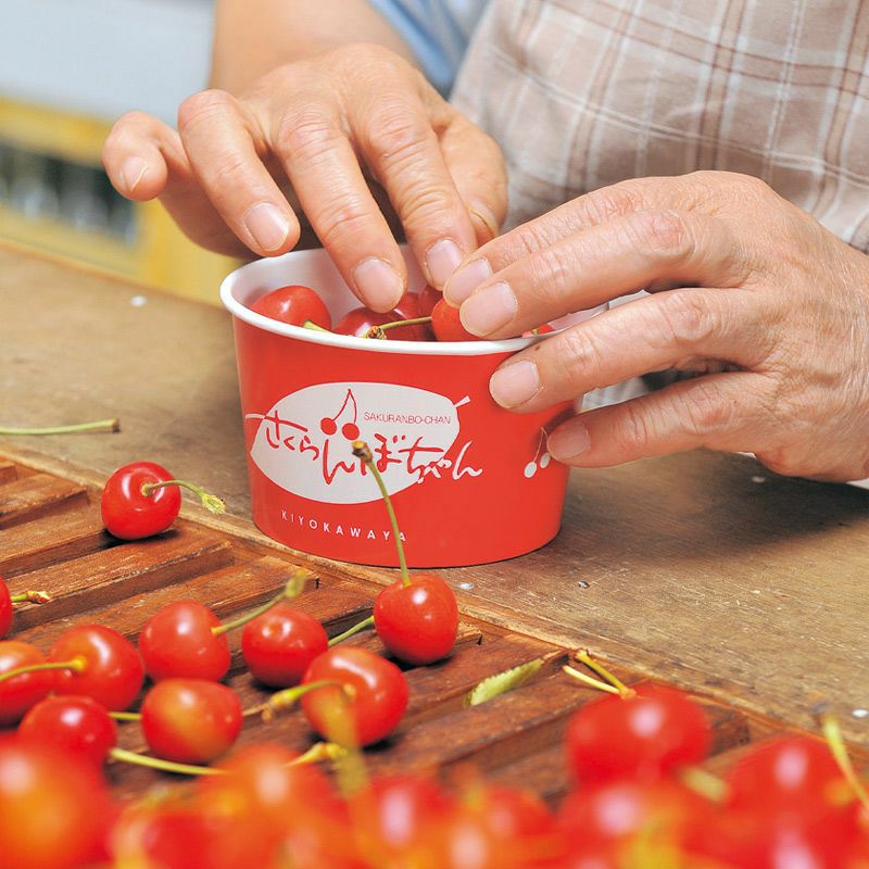 000000000007-04-l.jpg?t=