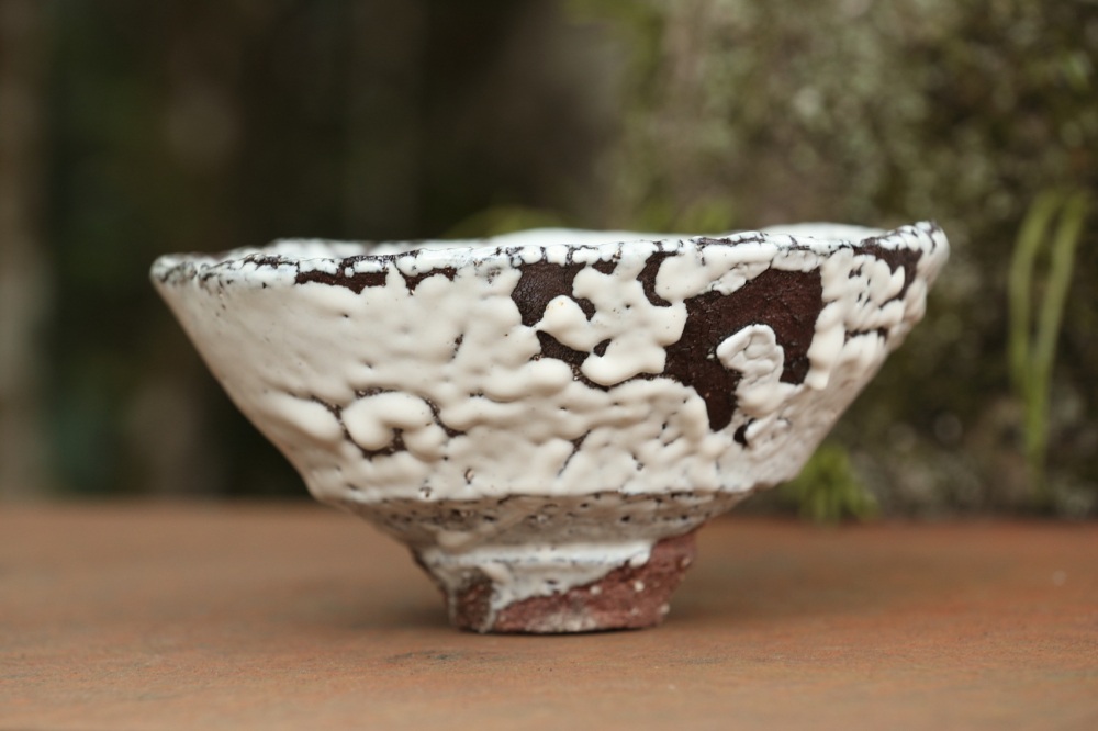 大地のエネルギーが迸る器づくりを極めたい。十三代三輪休雪｜特集