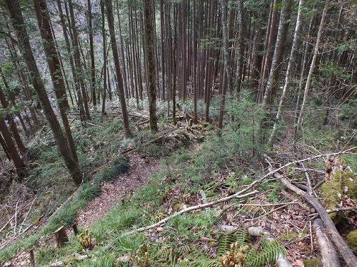 渚滑森林鉄道（廃線）サボ 行先板】貯木場（むりい）濁川事業所×上丸