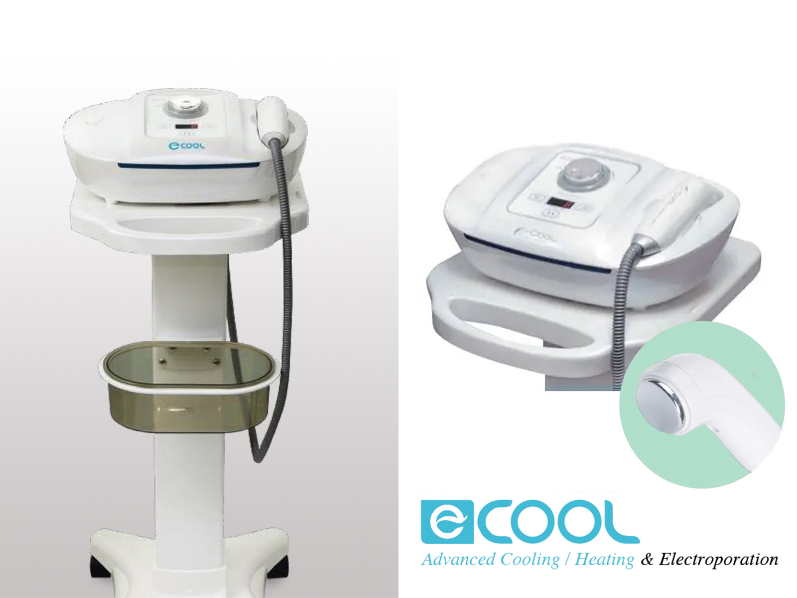 業務用 エレクトロポレーション 業務用エレクトロポレーション『POD-P