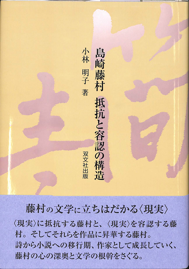 岩波文庫 南総里見八犬伝 全10冊セット 南総里見八犬伝。岩波文庫。