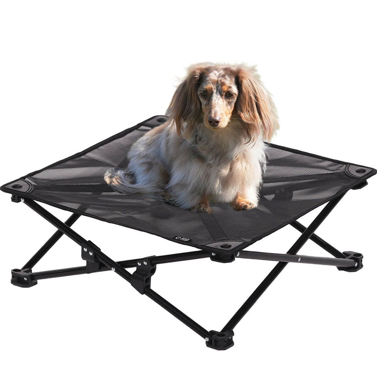 犬用ベッド ドッグコット メッシュ ペット用 QC-DCM | スポーツ