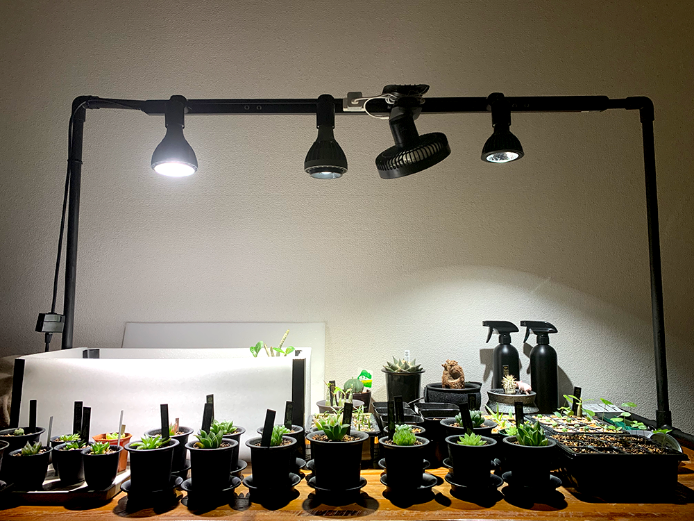 植物育成LEDライトにおすすめなダクトレール！植物棚への取り付け方も