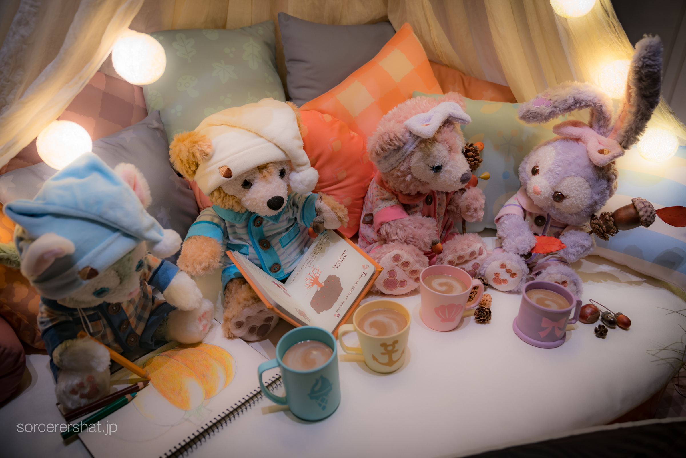 ディズニーシー ダッフィー オータムスリープオーバー コスチューム