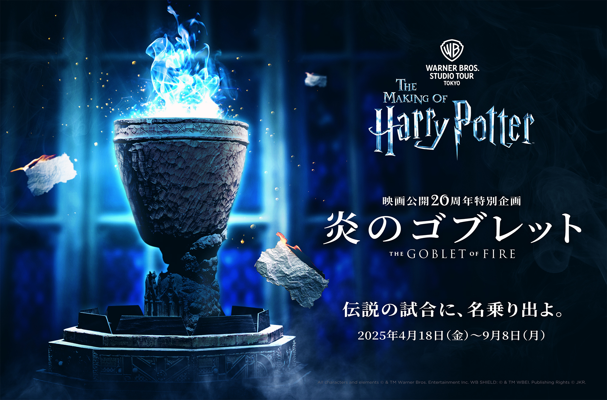 ハリー・ポッター トランプ 炎のゴブレット トランプカード