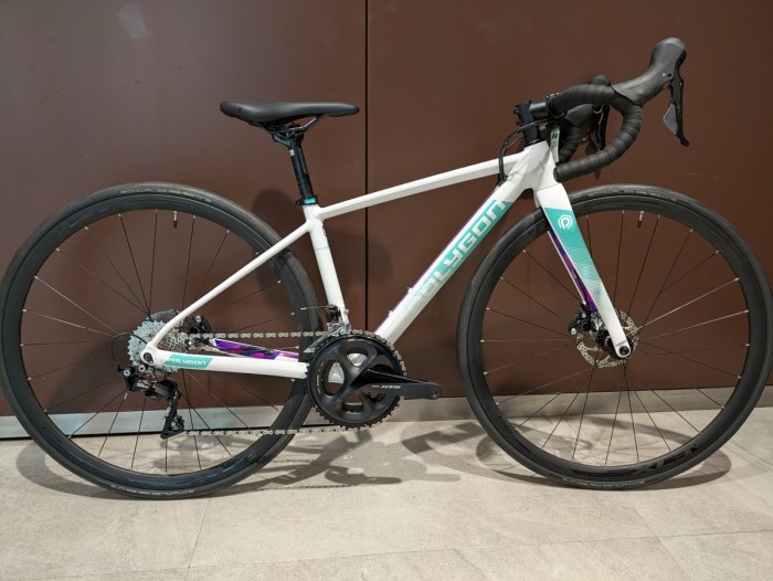 50%OFF】配送受取限定価格！お得なRALEIGH / ARAYA / POLYGON のバイク