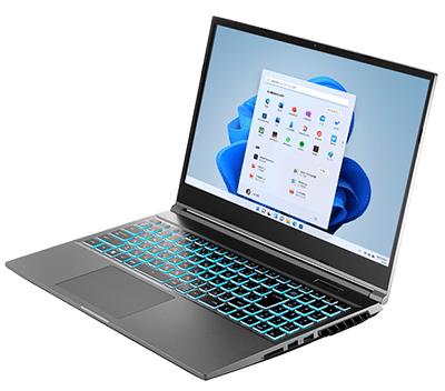 raytrek R5-RL5」購入前のチェックポイントを解説！WQHDディスプレイ