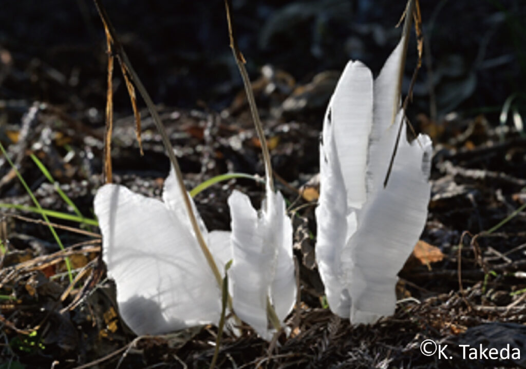 雪解け氷まじりの川石器時代の風景氷河期真作肉筆癒やしおちつく一時