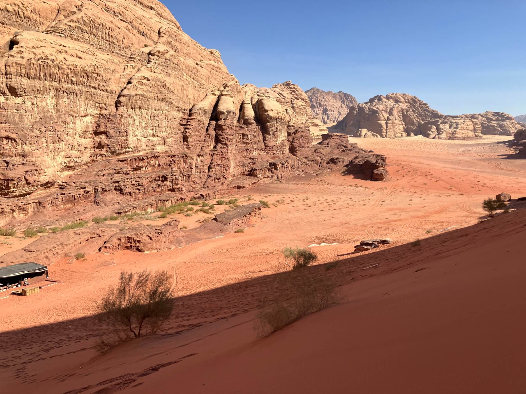 ヨルダン】ワディラム②砂漠1日ツアー｜料金＆内容を詳しく解説