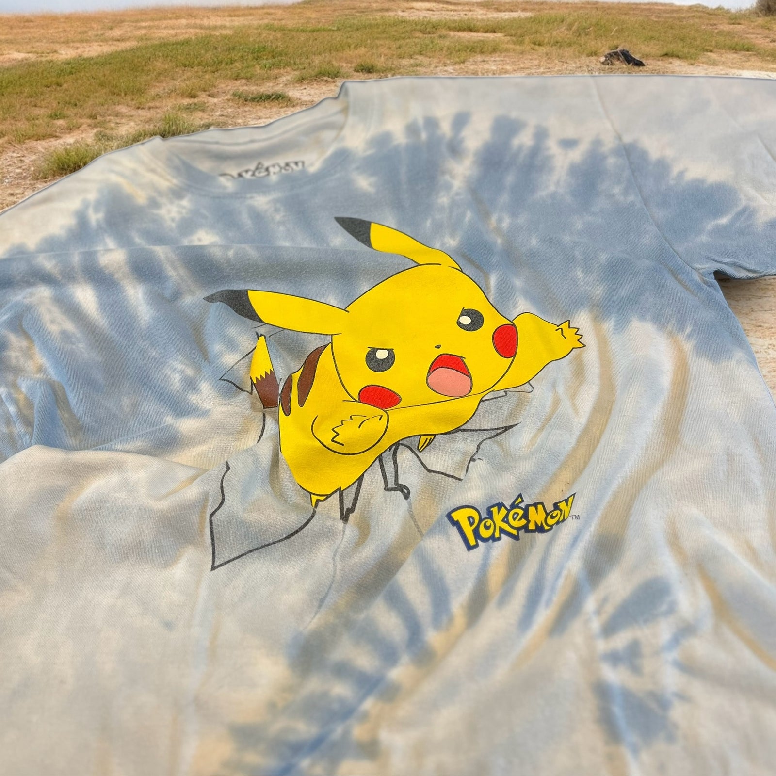 000CB4B6-4930-4F10-87C5-