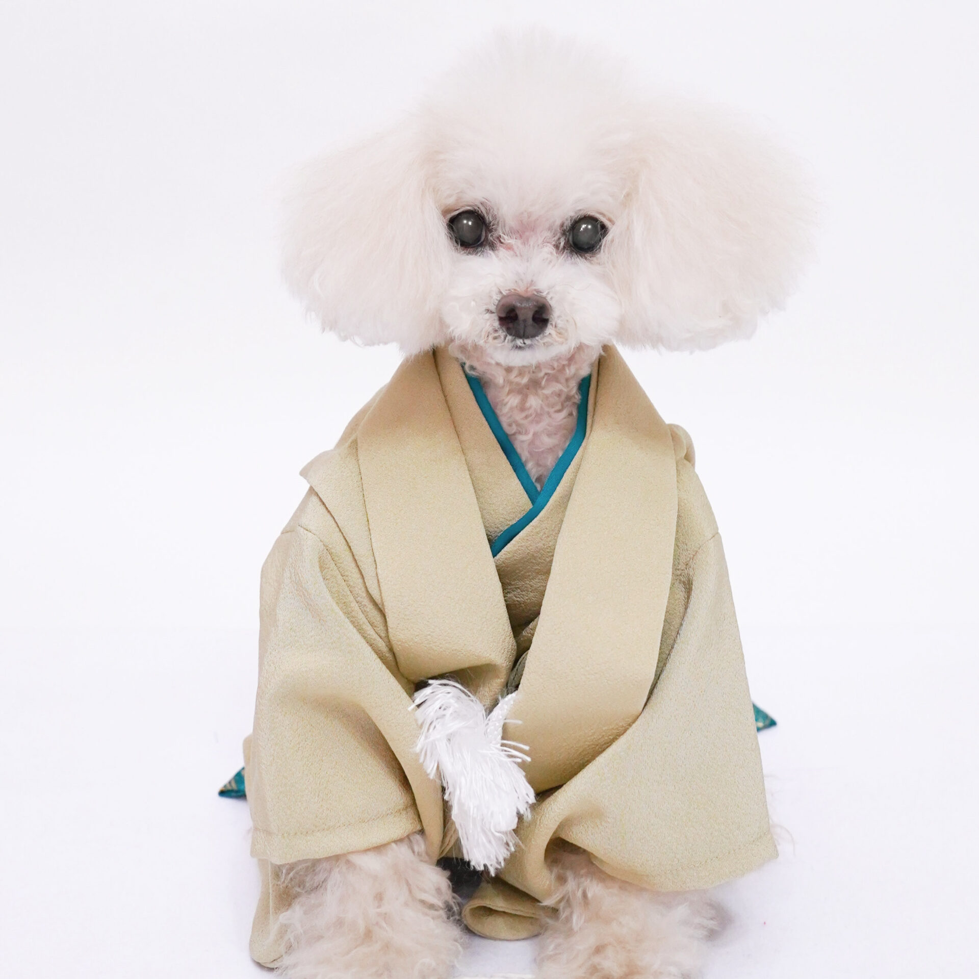 犬服オーダー 着物・袴・羽織3点セット【男の子用】 kiha-3 | 犬服・猫