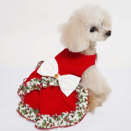 Xmasコスチューム(M) ꒡̈⃝Lily꒡̈⃝犬服 ハンドメイド