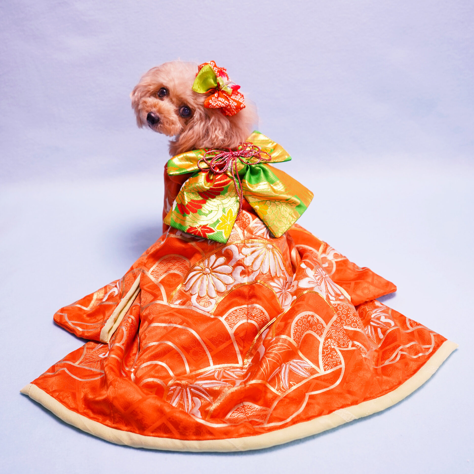 犬猫服1点限定 お引きずりの大振袖 Sサイズ oh-57 | 犬服・猫ペット服