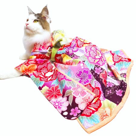 犬猫服1点限り お引きずりの大振袖SSサイズ oh-60 | 犬服・猫ペット服