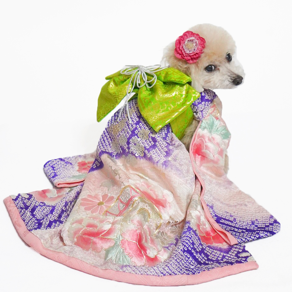 B442.pon2pan2☆犬オーダー☆犬お着物☆犬2ウェイお着物 B442.pon2pan2