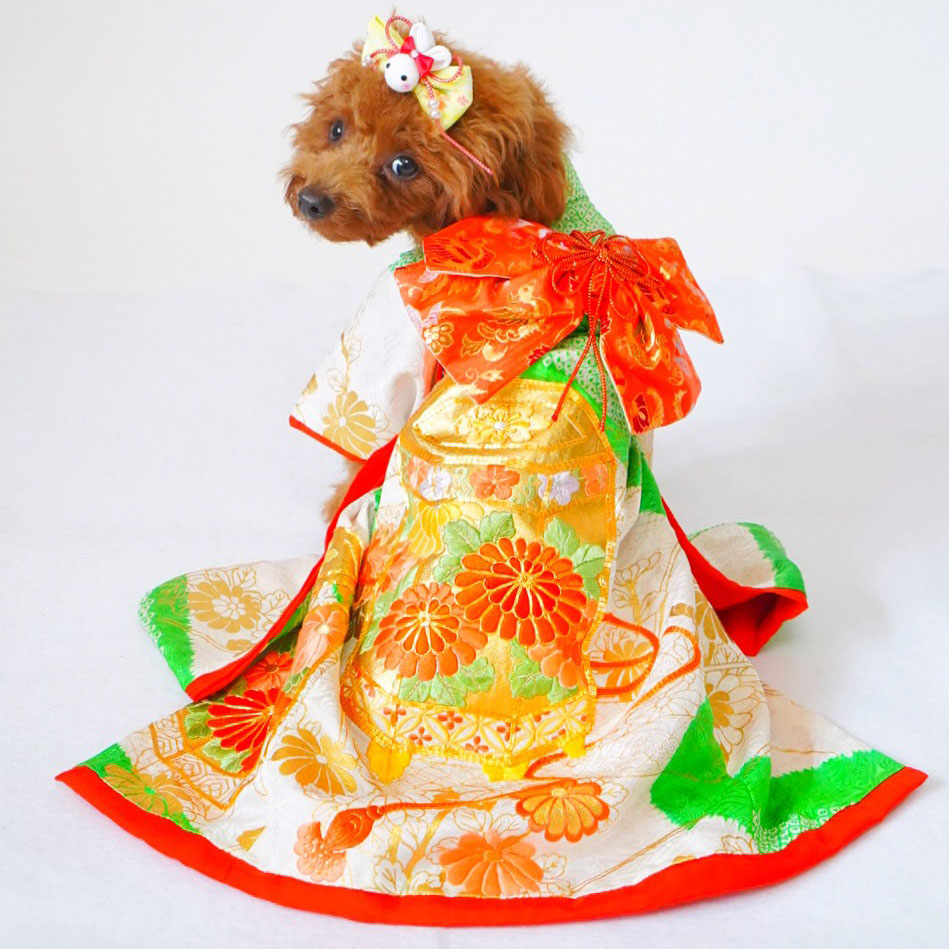 犬猫服1点限り お引きずりの大振袖 SSサイズ oh-09 | 犬服・猫ペット服