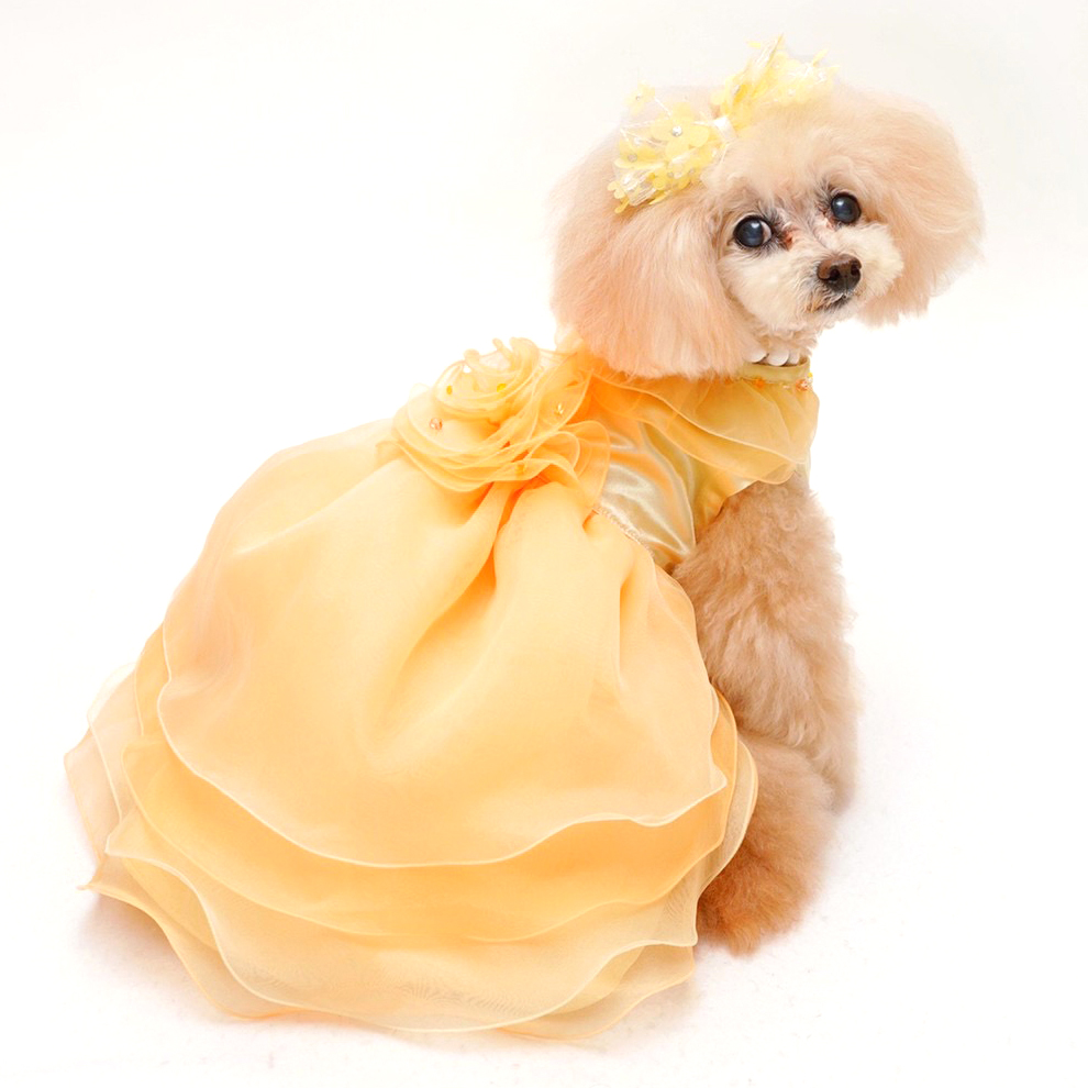 犬猫服オーダー ふんわりイエロードレス | 犬服・猫ペット服・婦人服