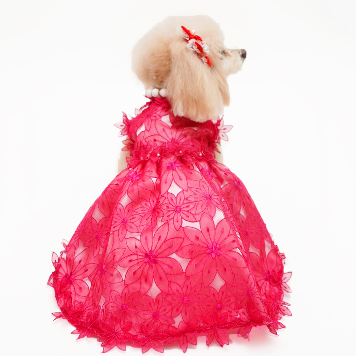 犬猫用ドレス 1点限り赤の花モチーフドレス Sサイズ dr-04 | 犬服・猫