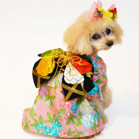 B419.pon2pan2☆オーダー☆犬着物☆犬2ウェイ着物☆犬お引き摺り