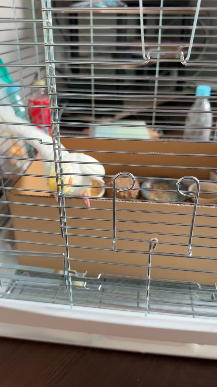 HOEI [即納在庫品] 鳥かご ケージ HOEI 465オカメ 1台 ホワイト 豊栄