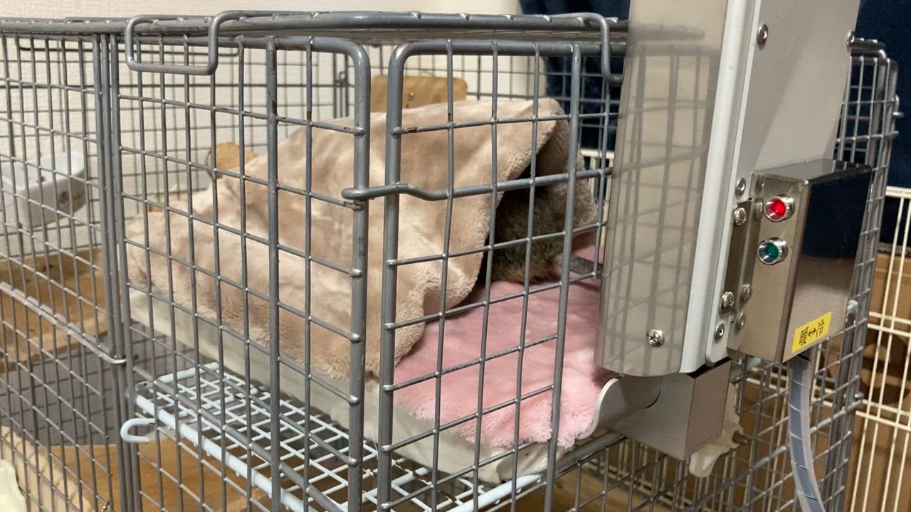 PC−200 チンチラのクーラー チンチラのヒーター チンチラの