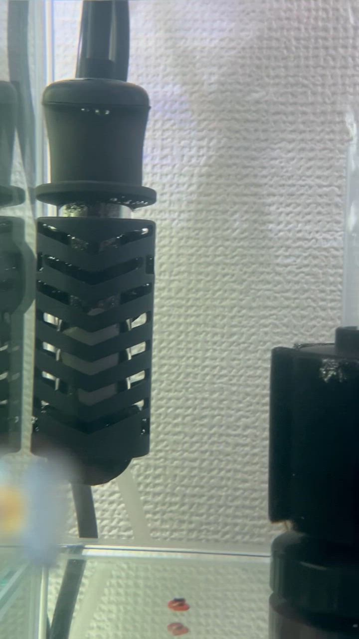 Tetra（テトラ） 26℃ミニヒーター 35W カバー付き 〜12L水槽用