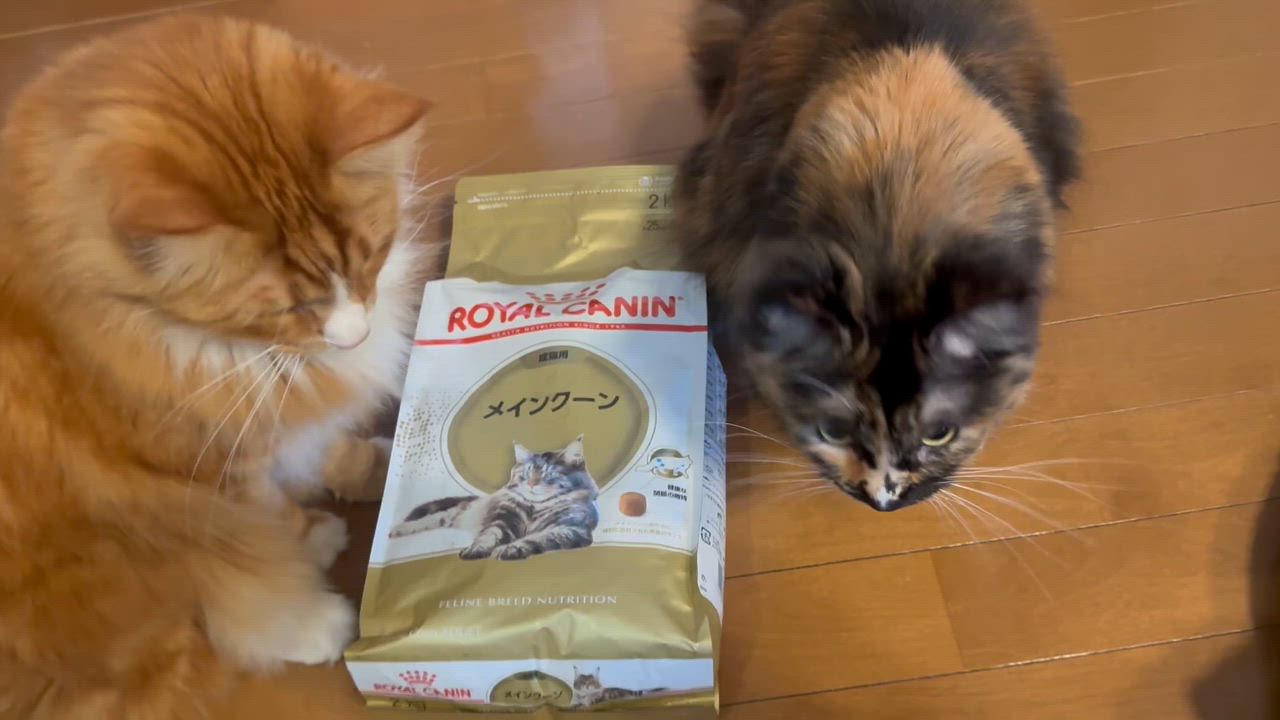 フィーライン ブリード ニュートリション 【2kg×2袋】ロイヤルカナン