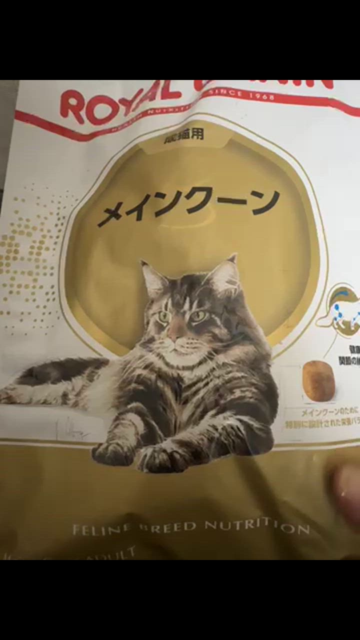 ロイヤルカナン（ROYAL CANIN） 猫 メインクーン 成猫用 生後15ヵ月
