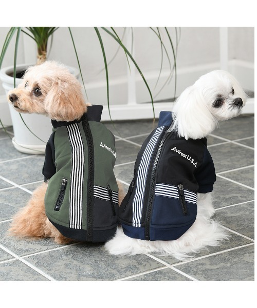 AVIREX（アヴィレックス） 犬 服 AVIREX/トラックジャケットクロス