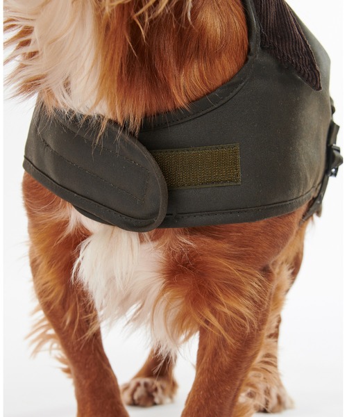 Barbour（バブアー） 犬 服 ワックス コットン ドッグ コート