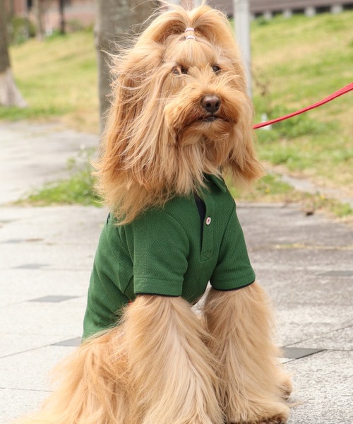 KRIFF MAYER（クリフメイヤー） 犬 服 冷感リンクスカノコポロ