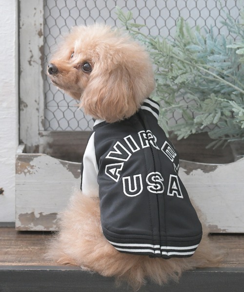 AVIREX（アヴィレックス） 犬 服 AVIREX/トラックJKTロゴ : ZOZOTOWN