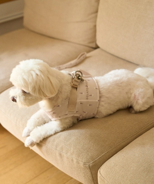 gelato pique（ジェラートピケ） 犬 ハーネス リード 「CAT＆DOG